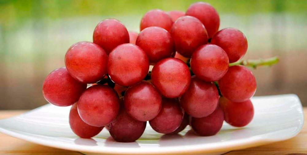 Пять причин регулярно есть виноград